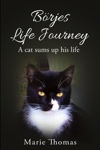 Börjes Life Journey A Cat Sums Up His Life