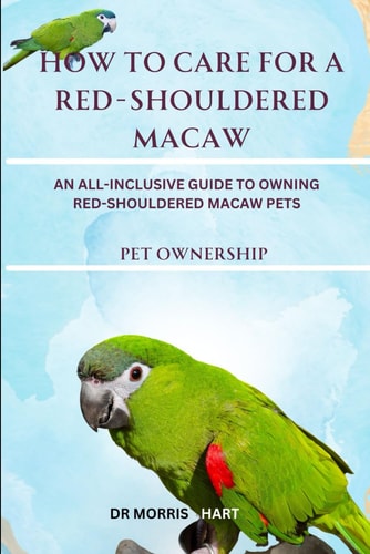 How to Care for a Red-Shouldered Macaw An All-Inclusive Guide to Owning Red-Shouldered Macaw Pets