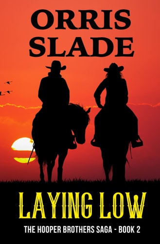 Laying Low The Hooper Brothers Saga - Book 2