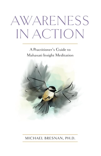 Awareness in Action A Practitioner's Guide to Mahasati Insight Meditation