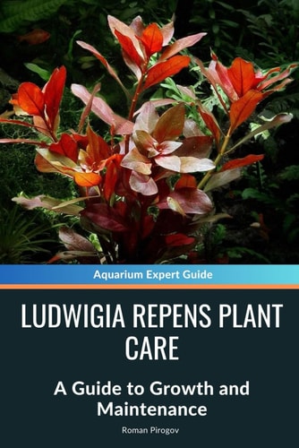 Ludwigia Repens Plant Care A Guide to Growth and Maintenance