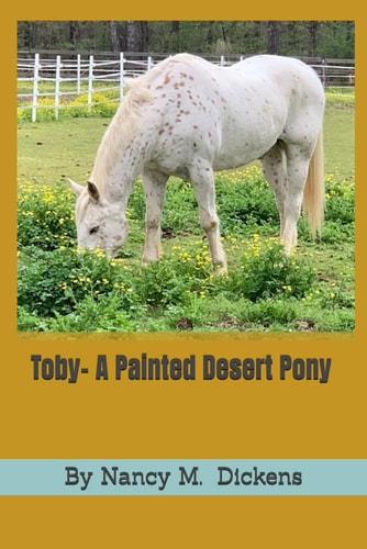 Toby- A Painted Desert Pony