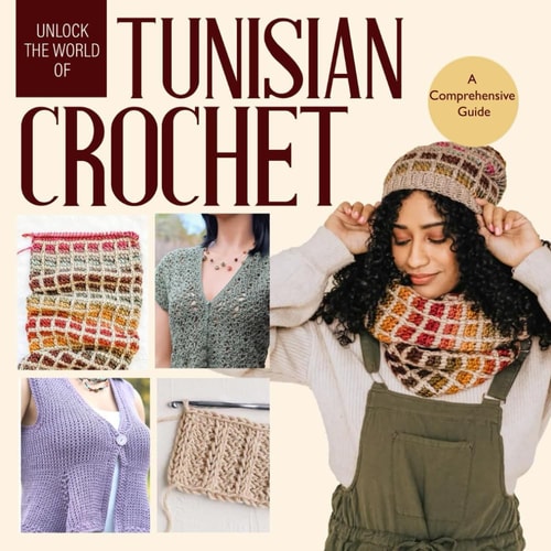 Unlock the World of Tunisian Crochet A Comprehensive Guide