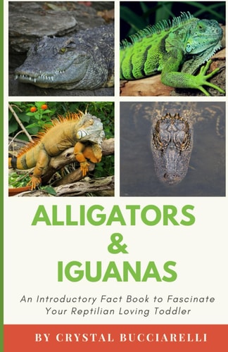 Alligators & Iguanas An Introductory Fact Book to Fascinate Your Reptilian Loving Toddler