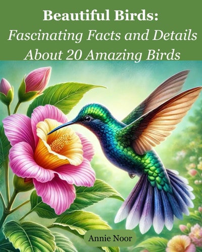 Beautiful Birds Fascinating Facts and Details About 20 Amazing Birds