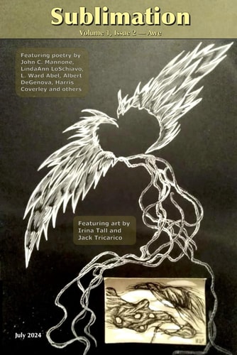 Sublimation Volume 1, Issue 2, July 2024 - Awe