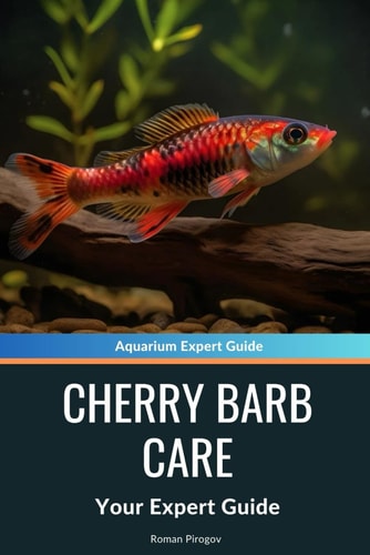 Cherry Barb Care A Complete Guide