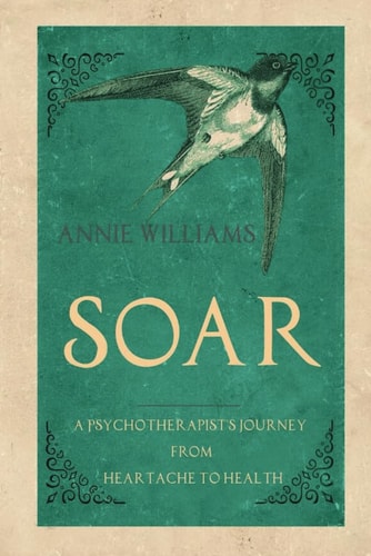 Soar A Psychotherapist's Journey from Heartache to Health