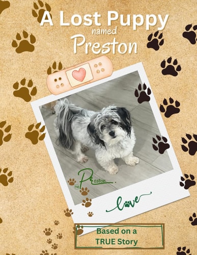 A Lost Puppy Named Preston WhimsBee & Friends