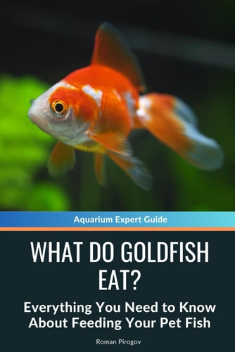 What Do Goldfish Eat? Everything You Need to Know About Feeding Your Pet Fish