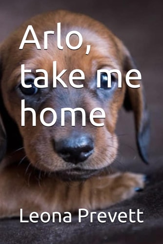 Arlo, Take Me Home