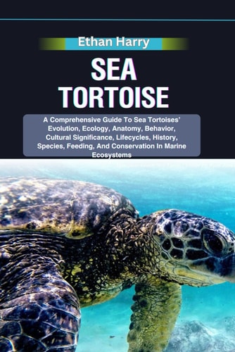 Sea Tortoise A Comprehensive Guide To Sea Tortoises' Evolution, Ecology, Anatomy, Behavior, Cultural Significance, Lifecycles, History, Species, Feeding, And Conservation In Marine Ecosystems
