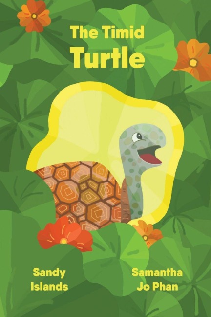 The Timid Turtle