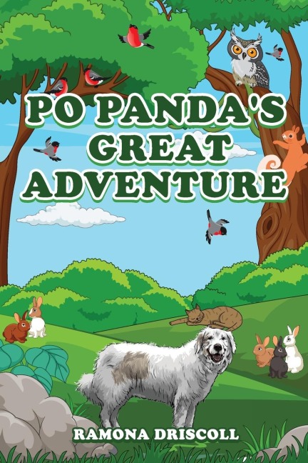 Po Pandas Great Adventure