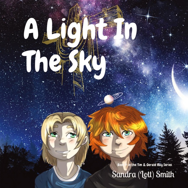 A Light In  The Sky: Book 4 in the Tim & Gerald Ray Series