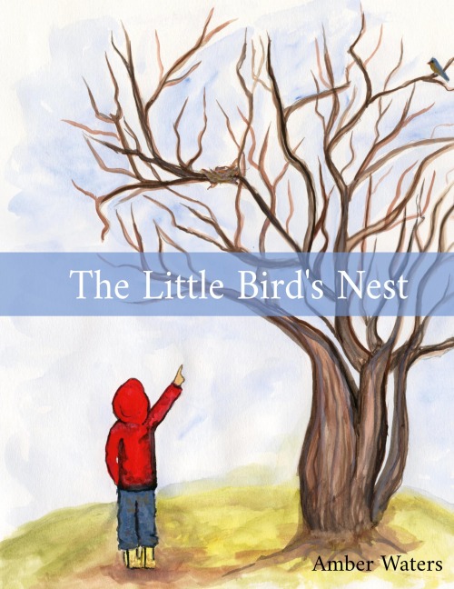 The Little Birds Nest