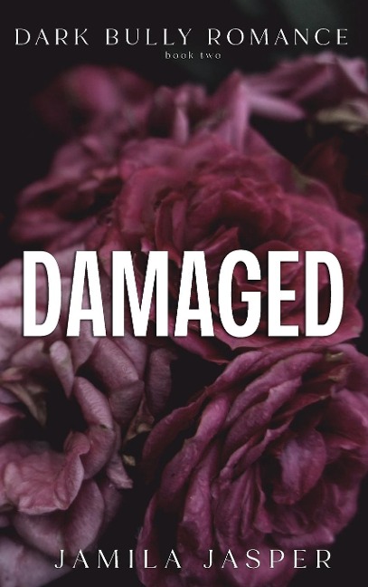 Damaged: Dark Bully BWWM Billionaire Romance