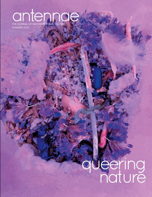 Antennae #64 Queering Nature #2