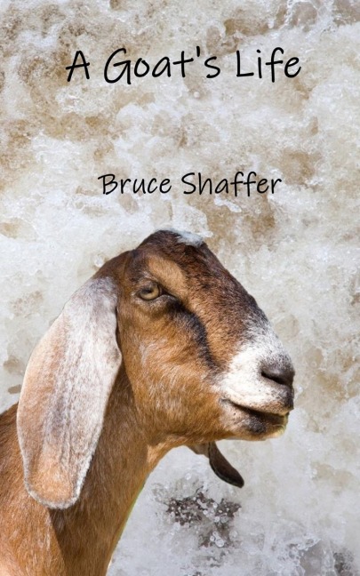 A Goats Life