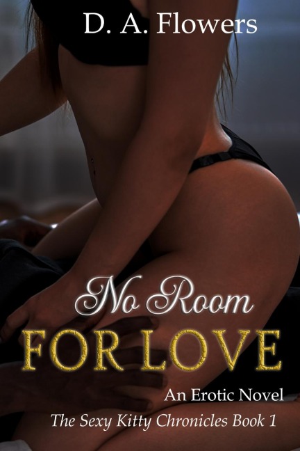 No Room for Love An Erotic Novel: An Erotic Novel