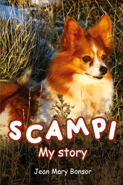 SCAMPI: My Story