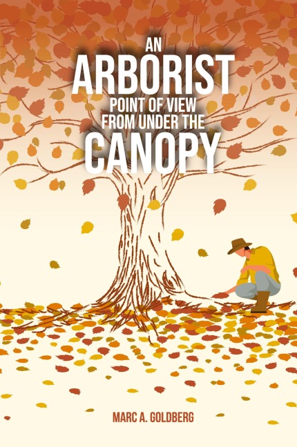 An Arborist Point Of View From Under The Canopy