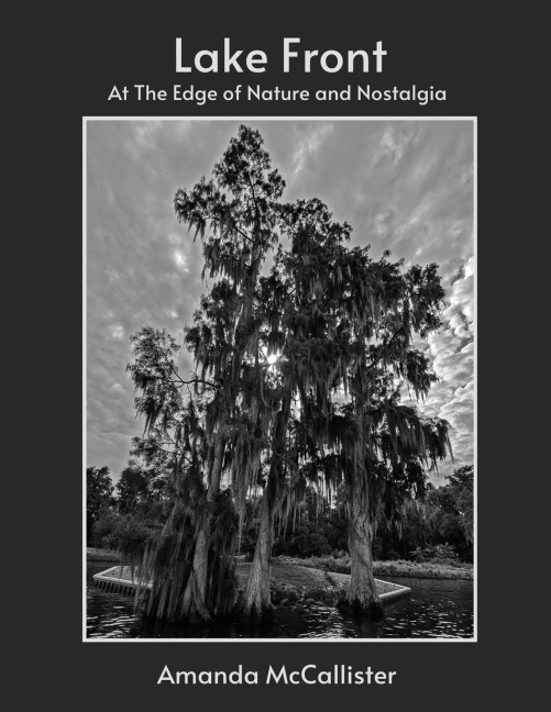 LAKE FRONT: AT THE EDGE OF NATURE AND NOSTALGIA