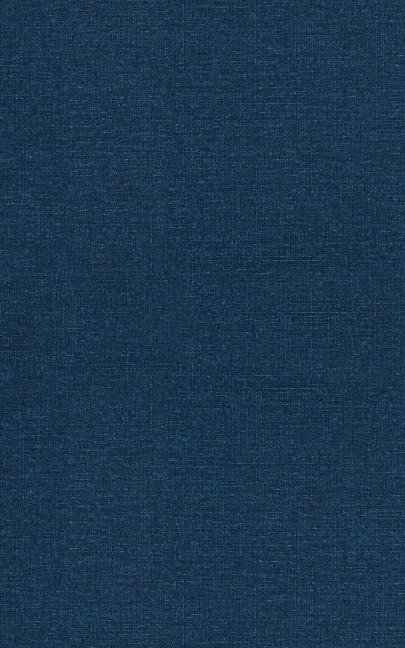 The Entrepreneurs Handbook: 10 Steps to Launching a Startup