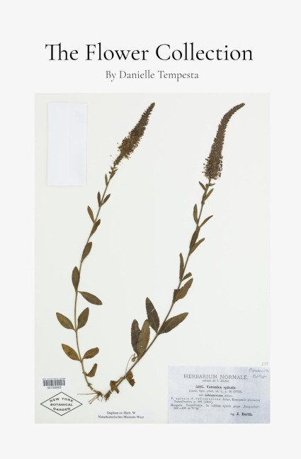The Flower Collection