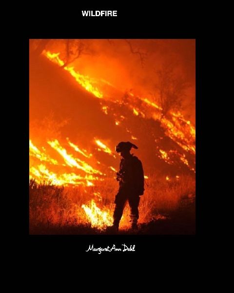 Wildfire