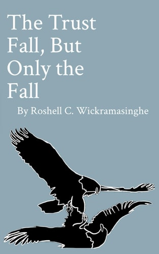 The Trust Fall, But Only the Fall A Poetry Collection