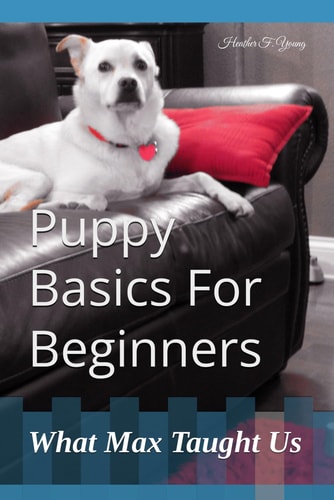 Puppy Basics For Beginners What Max Taught Us