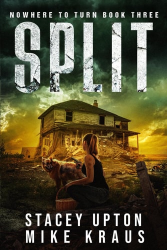 Split Nowhere to Turn Book 3
