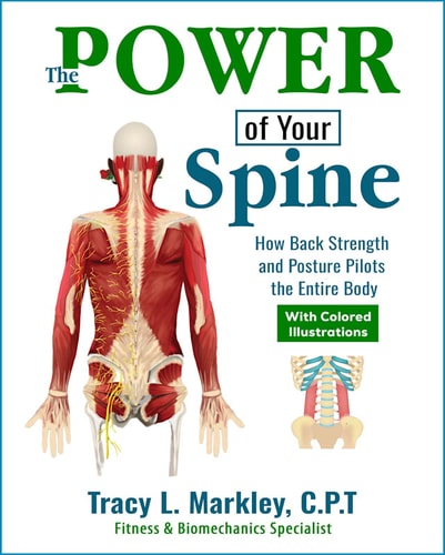 The Power of Your Spine - Colored Print Edition How Back Strength and Posture Pilots the Entire Body