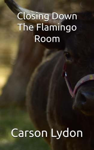 Closing Down The Flamingo Room