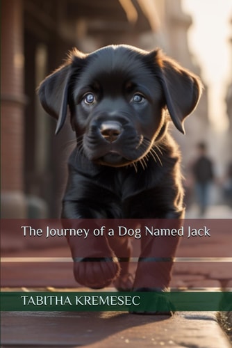 The Journey of a Dog Named Jack