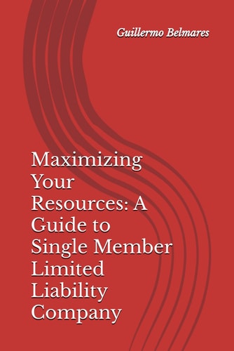 Maximizing Your Resources A Guide to Single Member Limited Liability Company