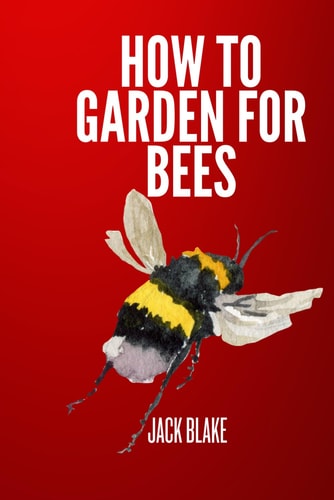 How To Garden For Bees