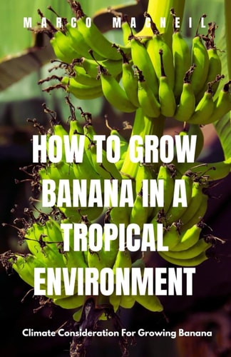 How To Grow Banana In A Tropical Environment Climate Consideration For Growing Banana