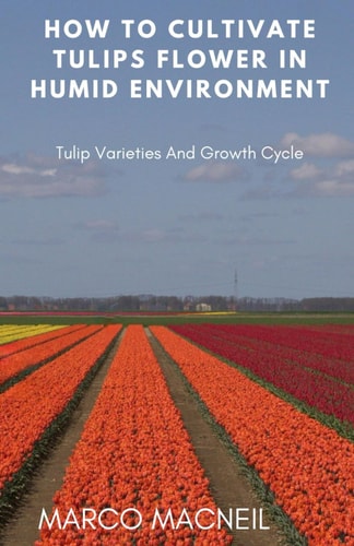 How To Cultivate Tulips Flower In Humid Environment Tulip Varieties And Growth Cycle