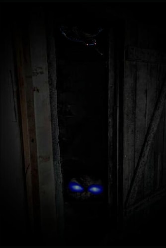 From Out of the Basement Shadows Five Terrifying Tales