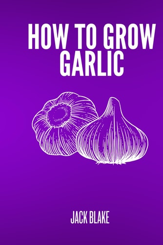 How To Grow Garlic