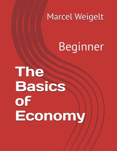 The Basics of Economy Beginner