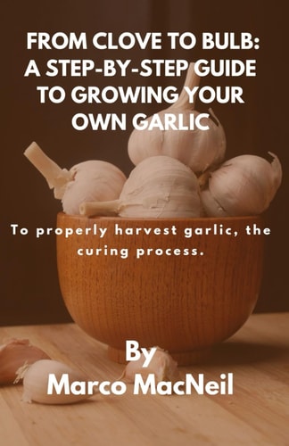 From Clove to Bulb A STEP-BY-STEP GUIDE TO GROWING YOUR OWN GARLIC: To Properly Harvest Garlic, the Curing Process.