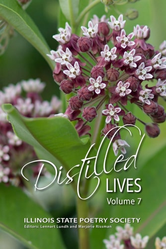 Distilled Lives Volume 7