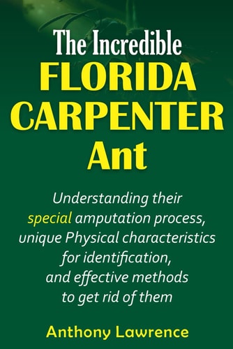 The Incredible Florida Carpenter Ant Understanding Their Special Amputation Process, Unique Physical Characteristics for Identification, and Effective Methods to Get Rid of Them