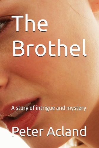 The Brothel A Tale of Mystery and Intrigue