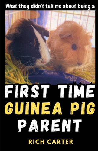 First Time Guinea Pig Parent What They Didn't Tell Me