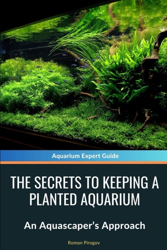 The Secrets to Keeping a Planted Aquarium An Aquascaper's Approach