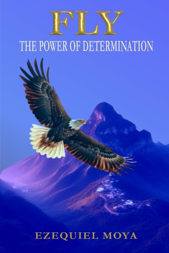 Fly The Power of Determination
